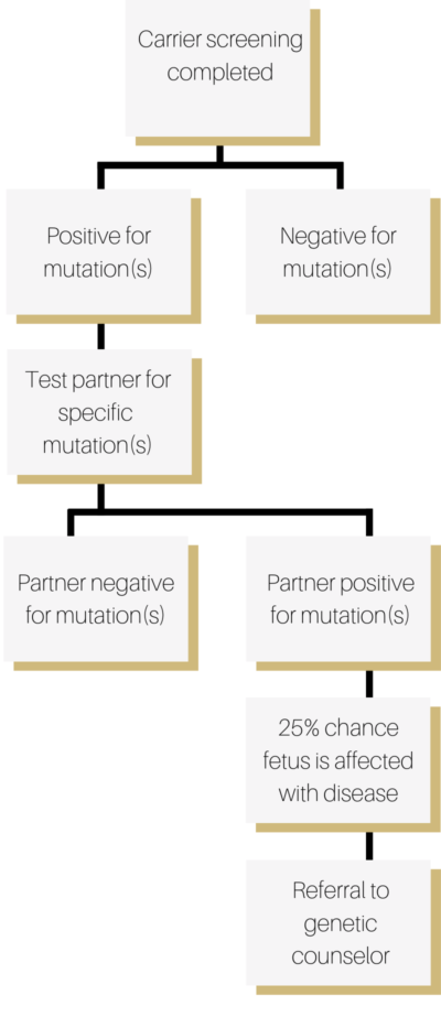 What doctors do with prenatal genetic testing results | CU OB-GYN & Family Planning | Denver, CO