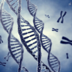 Genes and DNA strand affecting infertility in obese women | CU OB-GYN | Denver, CO