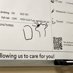 Uterus drawing on whiteboard indicating the source of abdominal pain | CU OB-GYN | Denver & Aurora, CO